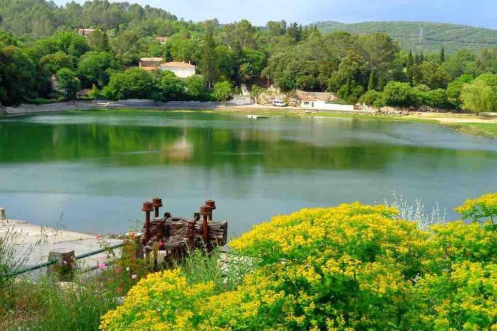 Logement Attenant A Une Villa T2 Avec Terrasse . Besse-sur-Issole المظهر الخارجي الصورة